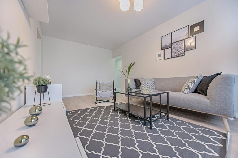 Gray monochromatic living room with a rug